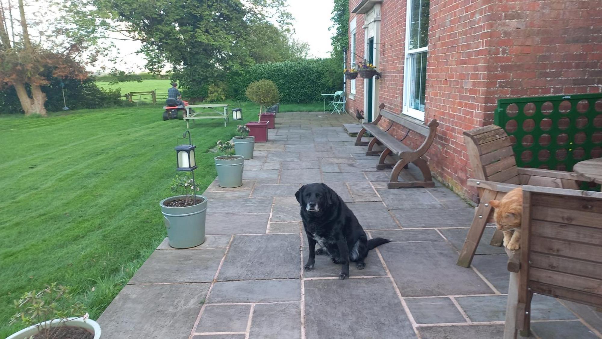 Broome Park Farm B&B Cleobury Mortimer Exterior photo